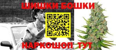 мет Можга