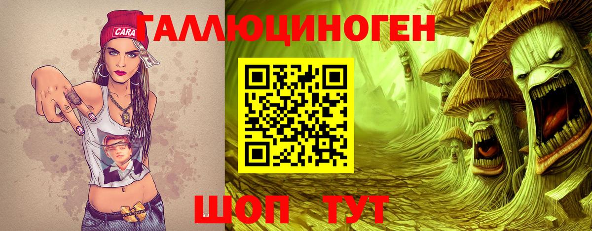 Зеленогорск  Галлюциногенные грибы мухоморы  Вход с VPN 