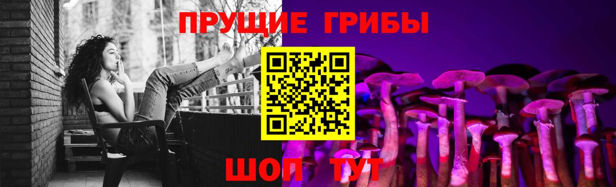 Псилоцибиновые грибы GOLDEN TEACHER Зеленогорск
